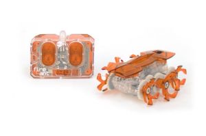 FireAnt_Orange_Copy