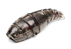 HEXBUG_Larva_Black_m