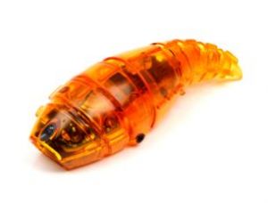 HEXBUG_Larva_Orange