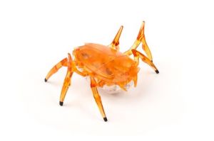 Scarab_Orange_3QR