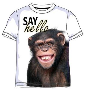 T-shirt chłopięcy